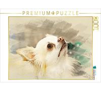 CALVENDO Andrea Redecker - Puzzle Chihuahuas 2017, 1000 pezzi, dimensioni 64 x 48 cm