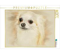 CALVENDO Andrea Redecker - Puzzle Chihuahuas 2017, 1000 pezzi, dimensioni 64 x 48 cm