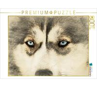 CALVENDO Andrea Redecker - Puzzle con cani da slitta, 1000 pezzi, dimensioni 64 x 48 cm