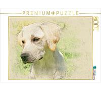 CALVENDO Andrea Redecker - Puzzle Labrador Retriever 2017, 1000 pezzi, dimensioni 64 x 48 cm