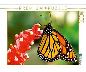 CALVENDO Anke Grey - Puzzle per record di escursionismo - La piega monarca 1000 pezzi, dimensioni 64 x 48 cm