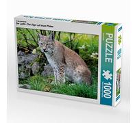 CALVENDO Arno Klatt - Puzzle della lince - Il cacciatore su zampe silenziose, 1000 pezzi, dimensioni 64 x 48 cm