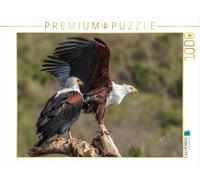 CALVENDO Barbara Bethke - Puzzle da 1000 pezzi, dimensioni 64 x 48 cm