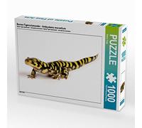 CALVENDO Benny Trapp - Puzzle a barre di tigre, Ambystoma mavortium, 1000 pezzi, dimensioni 64 x 48 cm