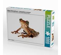 CALVENDO Benny Trapp - Puzzle velenoso per rospi - Trachycephalus venulosus 1000 pezzi, dimensioni 64 x 48 cm