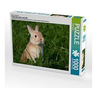 CALVENDO Berit Seiboth - Puzzle da 1000 pezzi, misura 64 x 48 cm