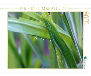 CALVENDO Bettina Blass Puzzle Erba in Montagna dopo la Pioggia 1000 Pezzi Lege-Dimensioni 64x48 cm Foto Puzzle Immagine