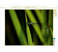 CALVENDO Bianca Schumann Puzzle Delicate Bellezze - Libellule Malesia, 1000 pezzi, dimensioni 64 x 48 cm