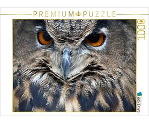 CALVENDO BO Valentino - Puzzle a forma di gufo, 1000 pezzi, dimensioni 64 x 48 cm