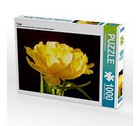 CALVENDO Christiane Calmbacher - Puzzle da 1000 pezzi, dimensioni 64 x 48 cm