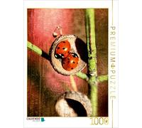 CALVENDO Christine Bässler - Puzzle per due 1000 pezzi, dimensioni 48 x 64 cm
