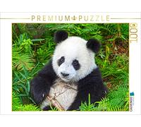CALVENDO- der, Il Grande, Panda Puzzle, Multicolore, 1000 Teile, 4064076328440