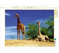 CALVENDO Eduard Tkocz - Puzzle con giraffe, 1000 pezzi, dimensioni 64 x 48 cm