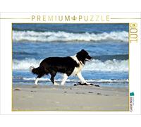 CALVENDO Eva Busch - Puzzle JayJay sulla spiaggia di Grønhøj, 1000 pezzi, dimensioni 64 x 48 cm