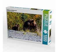 CALVENDO FB Frank Baumert - Puzzle Grizzlys sul bordo della strada, 1000 pezzi, dimensioni 64 x 48 cm