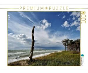 CALVENDO Friedrich Pries - Puzzle con vita e morte nella natura, 1000 pezzi, dimensioni 64 x 48 cm
