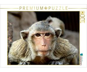 CALVENDO Gabriele Gerner-Haudum - Puzzle Thailandia, 1000 pezzi, dimensioni 64 x 48 cm
