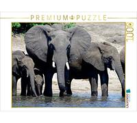CALVENDO Gerald Wolf - Puzzle con elefanti africani, 1000 pezzi, dimensioni 64 x 48 cm