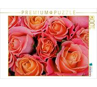 CALVENDO Gudrun Nitzold-Briele - Puzzle con rose profumate, 1000 pezzi, dimensioni 64 x 48 cm