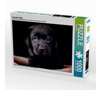 CALVENDO Heidi Bollich - Puzzle labrador cucciolo 1000 pezzi, dimensioni 64 x 48 cm