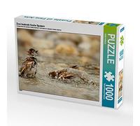 CALVENDO Heike Hultsch - Puzzle con due passeri, 1000 pezzi, dimensioni 64 x 48 cm