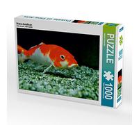 CALVENDO Helmut - Puzzle a forma di pesce rosso Wakin, 1000 pezzi, dimensioni 64 x 48 cm