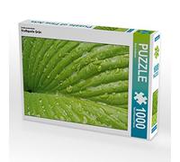 CALVENDO Ilona Andersen - Puzzle di energia verde, 1000 pezzi, dimensioni 64 x 48 cm