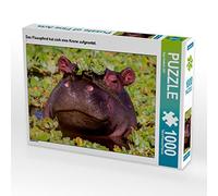CALVENDO Ingo Gerlach - Puzzle a forma di ippopotamo, 1000 pezzi, dimensioni 64 x 48 cm