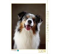 CALVENDO Jana Behr Puzzle Cash, 5 anni, 1000 pezzi, dimensioni 48 x 64 cm