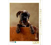 CALVENDO Jana Behr - Puzzle Gonzo Boxer, 11 settimane, 1000 pezzi, dimensioni 48 x 64 cm