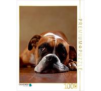 CALVENDO Jana Behr - Puzzle Maja, 3 anni, 1000 pezzi, dimensioni 48 x 64 cm