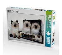 CALVENDO Jennifer Chrystal Puzzle Crusaders Ragdoll Gatti 1000 pezzi Lege-Dimensioni 64 x 48 cm