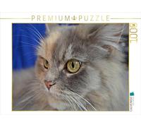 CALVENDO Jennifer Chrystal - Puzzle Maine Coon, 1000 pezzi, dimensioni 64 x 48 cm