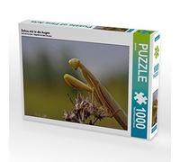 CALVENDO Juehust - Puzzle da 1000 pezzi, dimensioni 64 x 48 cm