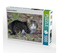 CALVENDO Kattobello - Puzzle a forma di gatto in casa, 1000 pezzi, dimensioni 64 x 48 cm