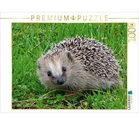 CALVENDO Kattobello - Puzzle da 1000 pezzi, dimensioni 64 x 48 cm