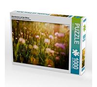 CALVENDO Lain Jackson - Puzzle con sole da sera sul prato, 1000 pezzi, dimensioni 64 x 48 cm