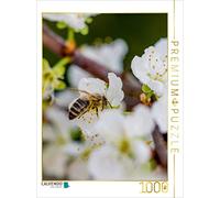 CALVENDO Mark Bangert - Puzzle a forma di ape su fiori di frutta, 1000 pezzi, dimensioni 48 x 64 cm