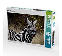 CALVENDO Markus Pavlowsky - Puzzle zebra, 1000 pezzi, dimensioni 64 x 48 cm