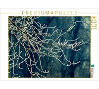 CALVENDO Martina Cross - Puzzle a forma di ramoscelli in inverno, 1000 pezzi, dimensioni 64 x 48 cm