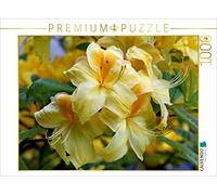 CALVENDO Martina Cross - Puzzle a forma di rododendro giallo, 1000 pezzi, dimensioni 64 x 48 cm