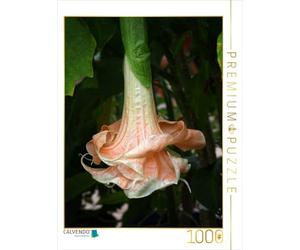 CALVENDO Martina Cross - Puzzle Brugmansia Angels Flight 1000 pezzi, dimensioni 48 x 64 cm