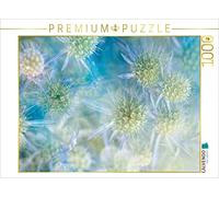 CALVENDO Martina Cross - Puzzle da 1000 pezzi, dimensioni 64 x 48 cm