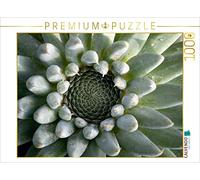 CALVENDO Martina Cross - Puzzle da 1000 pezzi, dimensioni 64 x 48 cm
