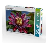 CALVENDO Martina Cross - Puzzle passiflora 1000 pezzi, dimensioni 64 x 48 cm