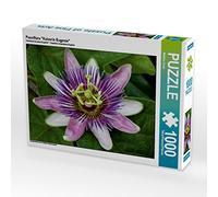 CALVENDO Martina Cross - Puzzle passiflora imperatrice Eugenie 1000 pezzi, dimensioni 64 x 48 cm