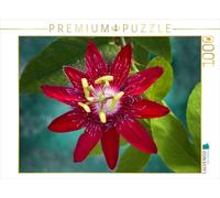 CALVENDO Martina Cross - Puzzle Passiflora Lady Margaret 1000 pezzi, dimensioni 64 x 48 cm