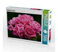 CALVENDO Martina Cross - Puzzle Pelargonium Dreams, 1000 pezzi, dimensioni 64 x 48 cm