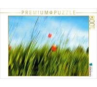 CALVENDO Martina Marten - Puzzle a forma di papavero, 1000 pezzi, dimensioni 64 x 48 cm