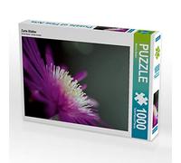 CALVENDO Martina Marten - Puzzle con foglie delicate, 1000 pezzi, dimensioni 64 x 48 cm